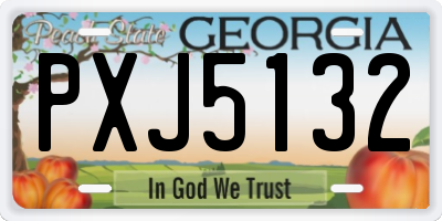 GA license plate PXJ5132