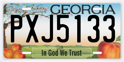 GA license plate PXJ5133