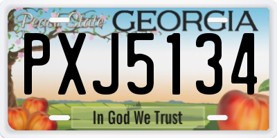 GA license plate PXJ5134