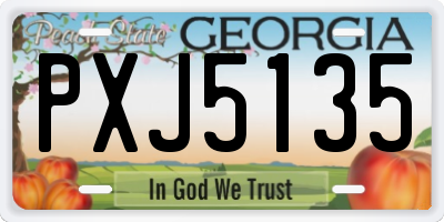 GA license plate PXJ5135