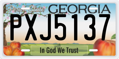 GA license plate PXJ5137