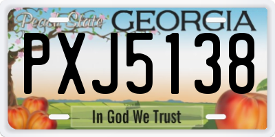 GA license plate PXJ5138