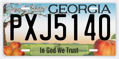 GA license plate PXJ5140