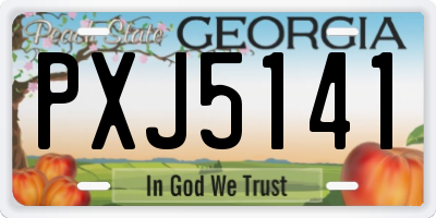 GA license plate PXJ5141