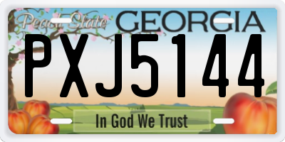 GA license plate PXJ5144