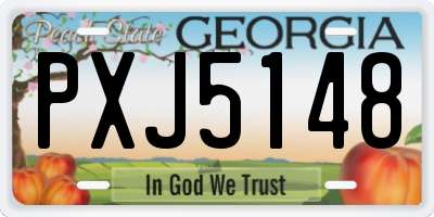 GA license plate PXJ5148