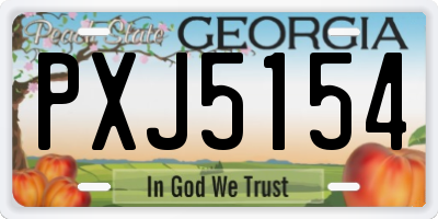 GA license plate PXJ5154