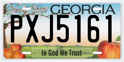 GA license plate PXJ5161