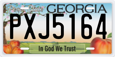 GA license plate PXJ5164