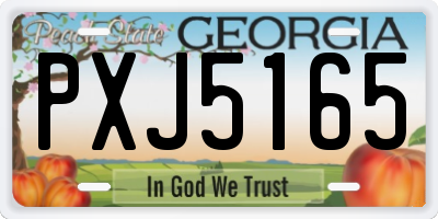 GA license plate PXJ5165