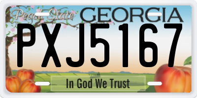 GA license plate PXJ5167