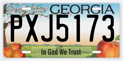 GA license plate PXJ5173