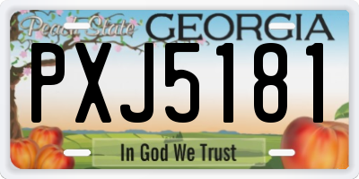 GA license plate PXJ5181
