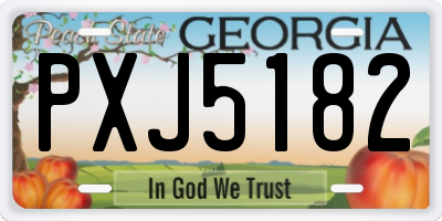 GA license plate PXJ5182