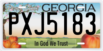 GA license plate PXJ5183
