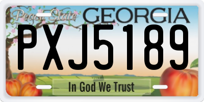 GA license plate PXJ5189