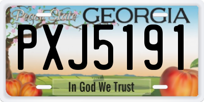 GA license plate PXJ5191