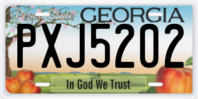 GA license plate PXJ5202