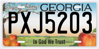 GA license plate PXJ5203