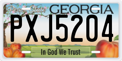 GA license plate PXJ5204
