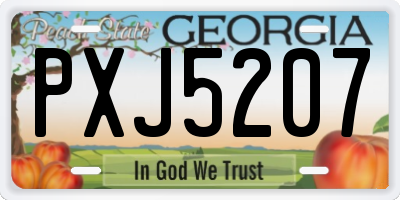 GA license plate PXJ5207