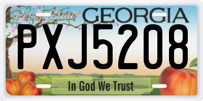 GA license plate PXJ5208