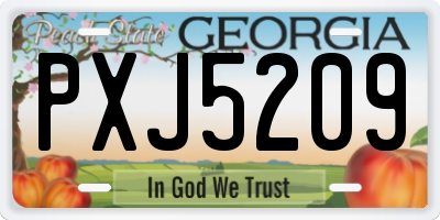 GA license plate PXJ5209