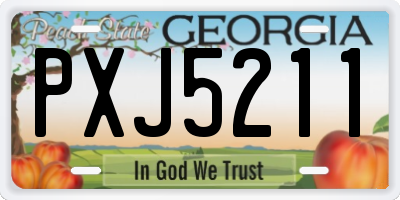 GA license plate PXJ5211