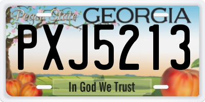 GA license plate PXJ5213