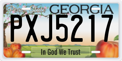 GA license plate PXJ5217