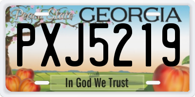 GA license plate PXJ5219