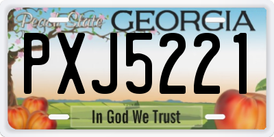 GA license plate PXJ5221