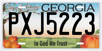 GA license plate PXJ5223