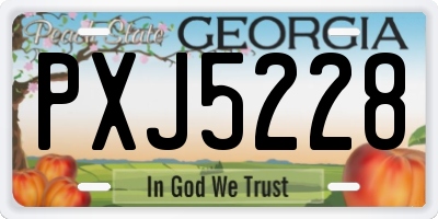 GA license plate PXJ5228
