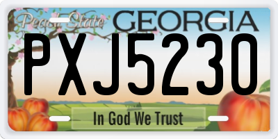 GA license plate PXJ5230
