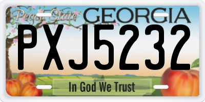 GA license plate PXJ5232