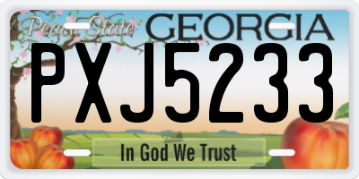 GA license plate PXJ5233