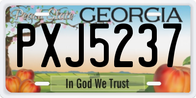 GA license plate PXJ5237