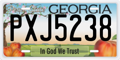 GA license plate PXJ5238