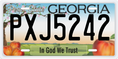 GA license plate PXJ5242