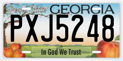 GA license plate PXJ5248