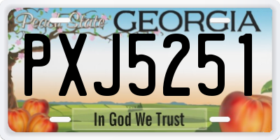 GA license plate PXJ5251