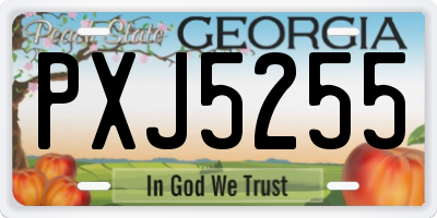 GA license plate PXJ5255
