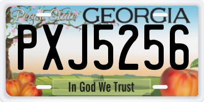 GA license plate PXJ5256
