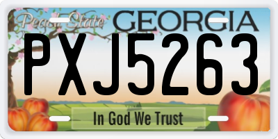 GA license plate PXJ5263