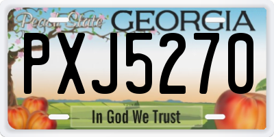 GA license plate PXJ5270