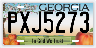 GA license plate PXJ5273