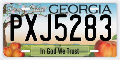 GA license plate PXJ5283