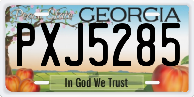 GA license plate PXJ5285