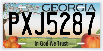 GA license plate PXJ5287